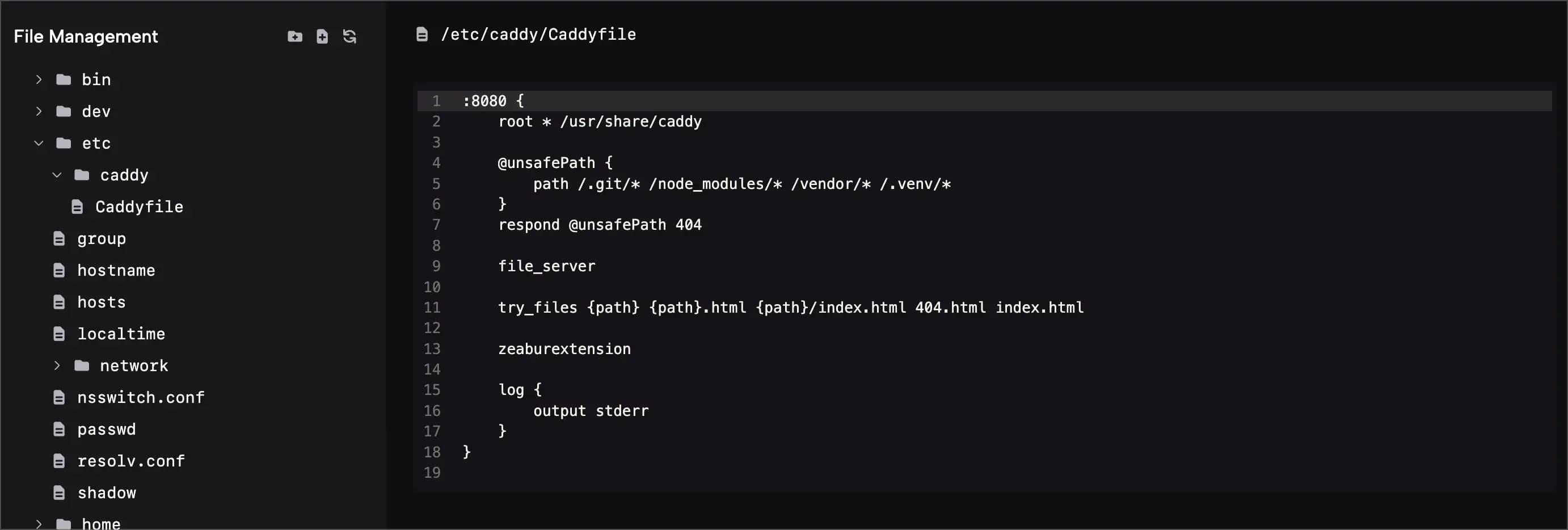 Caddyfile Configuration