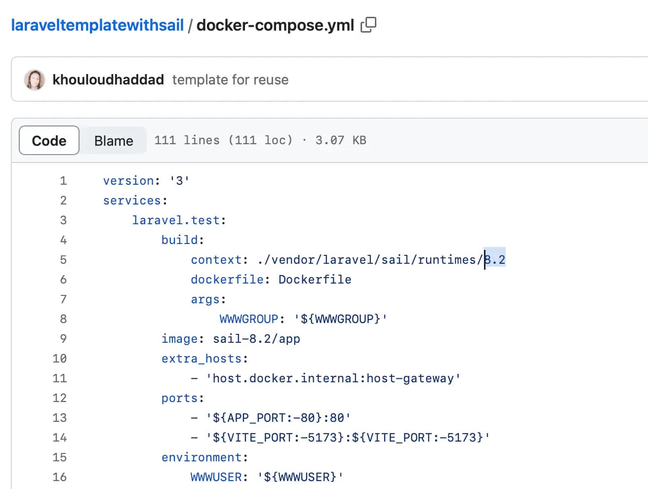 Laravel Sail Docker Compose definition